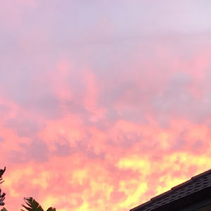 Meet your Posher, Alkira